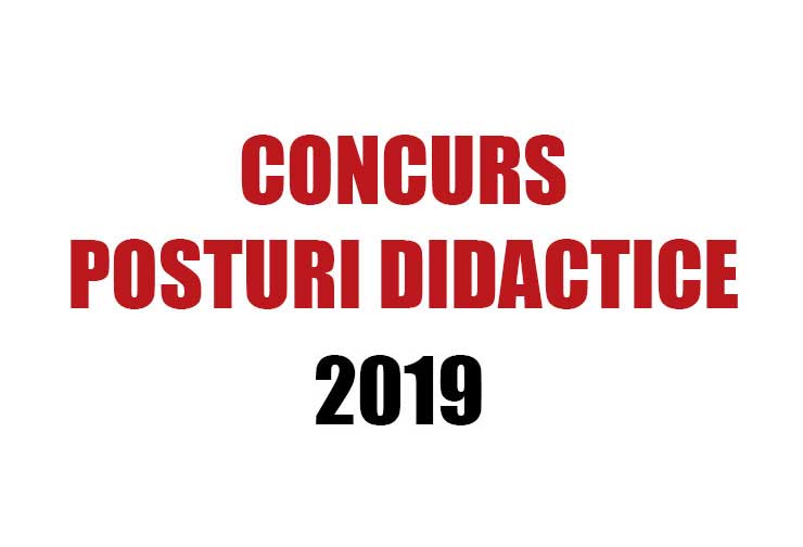 concurs posturi didactice pe perioada determinată 2019