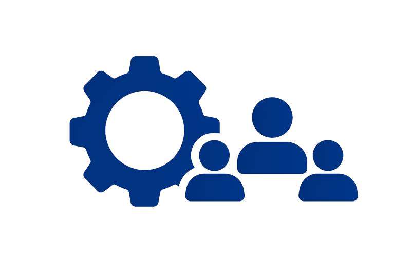 Structuri executive